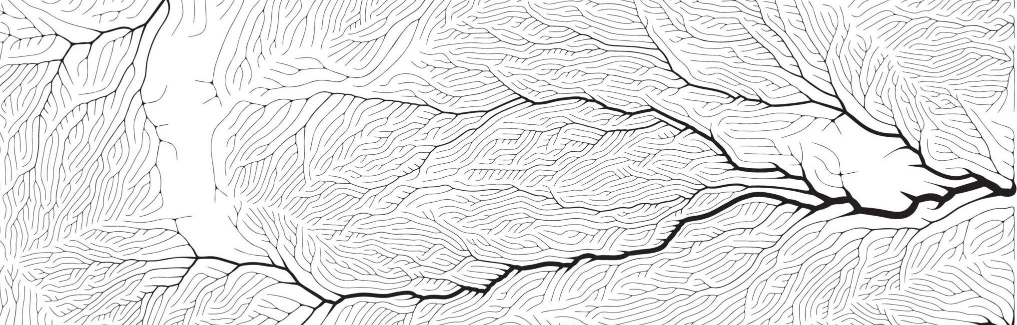 Vector generative branch growth pattern. Square texture. Lichen like organic structure with veins. Monocrome square biological net of vessels.